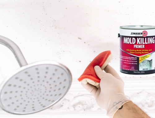 The Importance of Using Mold Killing Primer Before Painting